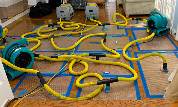 Professional Crawl Space Water Removal technician working in Linden, MI