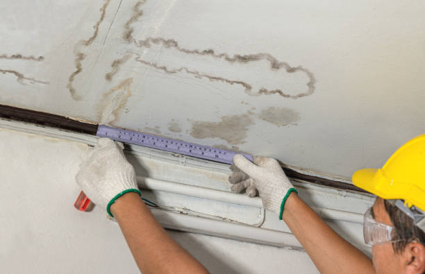 Affordable Water Damage Repair solutions in Linden, MI